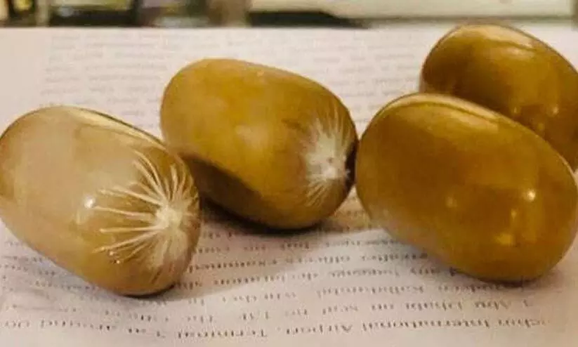 ശരീരത്തിലും അടിവസ്ത്രത്തിലുമായി 1.25 കോടിയുടെ സ്വർണം കടത്തി; കരിപ്പൂരിൽ ദമ്പതികൾ പിടിയിൽ ശരീരത്തിലും അടിവസ്ത്രത്തിലുമായി 1.25 കോടിയുടെ സ്വർണം കടത്തി; കരിപ്പൂരിൽ ദമ്പതികൾ പിടിയിൽ