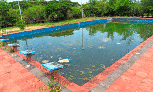 Kakadu Swimming Pool