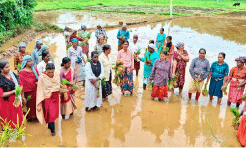 Kudumbashree workers