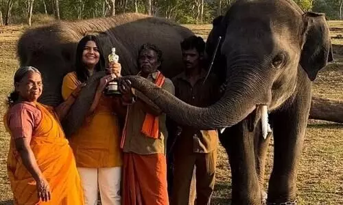 കടം വാങ്ങിയ പണം തന്നില്ല, ഫോൺ വിളിച്ചാൽ തിരക്കാണെന്ന് പറയും; ഗുരുതര ആരോപണങ്ങളുമായി ബൊമ്മനും ബെല്ലിയും കടം വാങ്ങിയ പണം തന്നില്ല, ഫോൺ വിളിച്ചാൽ തിരക്കാണെന്ന് പറയും; ഗുരുതര ആരോപണങ്ങളുമായി ബൊമ്മനും ബെല്ലിയും