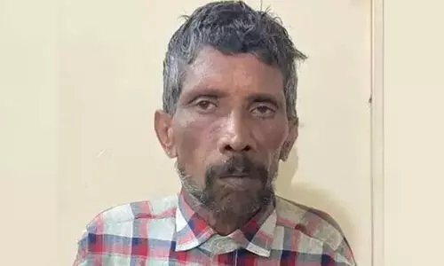 കാപ്പിത്തോട്ടത്തിൽ കഞ്ചാവ് കൃഷി; 32 കിലോ കഞ്ചാവ് പിടികൂടി