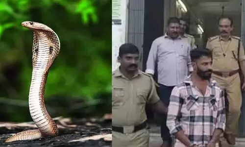 മകളെ ശല്യം ചെയ്യുന്നത് തടഞ്ഞ പിതാവിനെ പാമ്പിനെ ഉപയോഗിച്ച് കൊലപ്പെടുത്താന്‍ ശ്രമം; യുവാവ് പിടിയിൽ