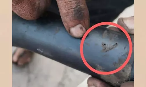 ഇന്ധന ട്യൂബ് തുരന്ന് വണ്ടുകൾ; വാഹനങ്ങൾക്ക് ഭീഷണി