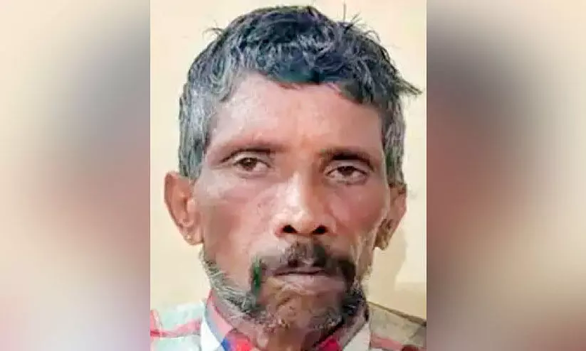 കാപ്പിത്തോട്ടത്തിൽ കഞ്ചാവ് കൃഷി; ഒരാർ അറസ്റ്റിൽ; കാപ്പിത്തോട്ടത്തിൽ കഞ്ചാവ് കൃഷി; ഒരാർ അറസ്റ്റിൽ;