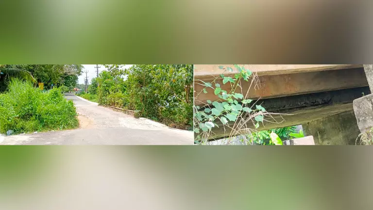 ആദിച്ചനല്ലൂർ ചിറ പാലം അപകടാവസ്ഥയിൽ കമ്പികൾ ദ്രവിച്ച് നിലംപൊത്താറായ നിലയിൽ ആദിച്ചനല്ലൂർ ചിറ പാലം അപകടാവസ്ഥയിൽ കമ്പികൾ ദ്രവിച്ച് നിലംപൊത്താറായ നിലയിൽ