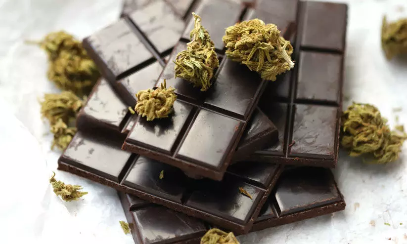 മം​ഗ​ളൂ​രു​വി​ൽ വി​റ്റ ചോ​ക്ല​റ്റു​ക​ളി​ൽ ക​ഞ്ചാ​വ് അം​ശ​മെ​ന്ന് രാ​സ​പ​രി​ശോ​ധ​ന റി​പ്പോ​ർ​ട്ട്