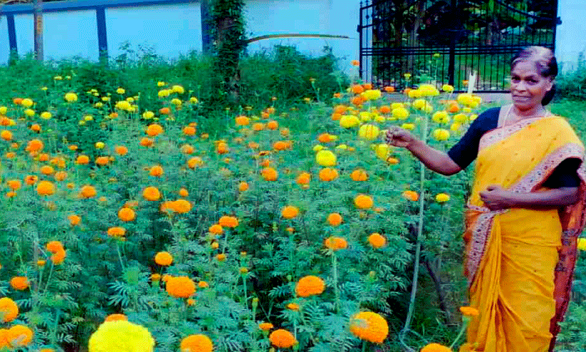 chendumally flowers chendumally flowers
