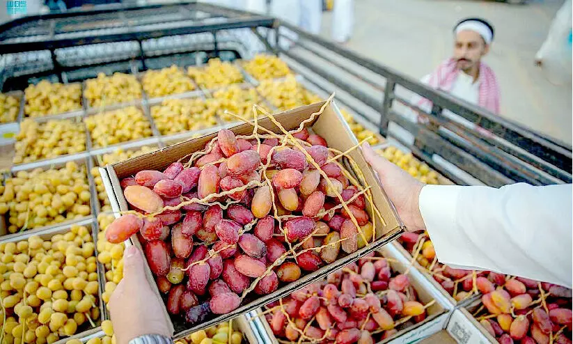 Buraidah date festival