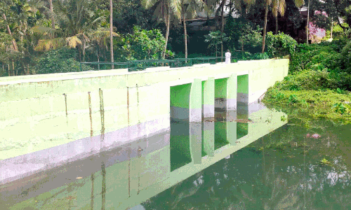 Karupanchira Check Dam