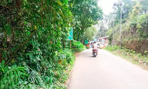 റോഡ്​ വശങ്ങൾ കാടുമൂടുന്നു