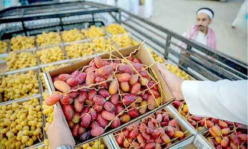 Buraidah date festival