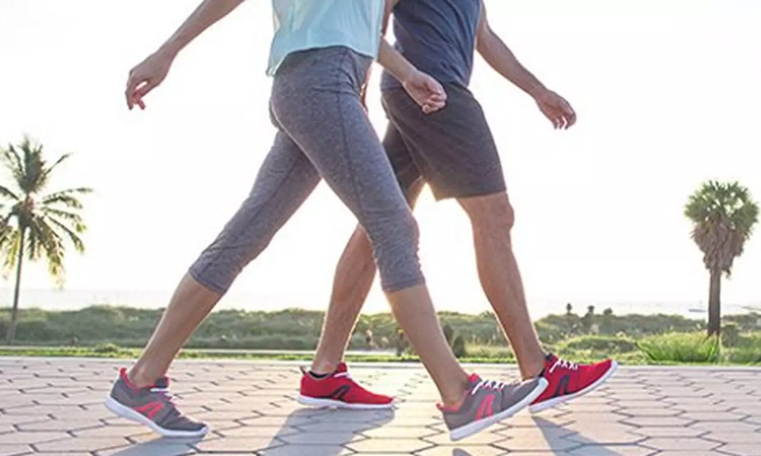 അകാല മരണം തടയാൻ ദിവസവും എത്ര ചുവട് നടക്കണം? ഉത്തരമിതാ...