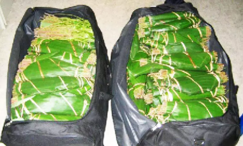 മ​യ​ക്കു​മ​രു​ന്നു​വേ​ട്ട; ലഹരിവസ്തുക്കൾ പിടിച്ചെടുത്തു; നിരവധി പേർ അറസ്​റ്റിൽ