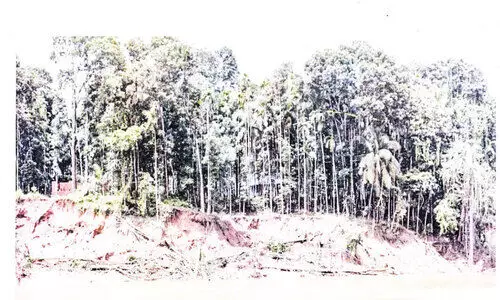 പുഴയോരം അപകടാവസ്ഥയിൽ; നടപടി വേണമെന്ന് നാട്ടുകാർ