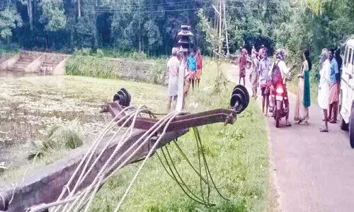 തെ​ങ്ങു​ം വൈ​ദ്യ​ുതി ലൈ​നും കു​ള​ത്തി​ലേ​ക്ക് പതിച്ചു​; ദു​ര​ന്തം ഒ​ഴി​വാ​യ​ത് ത​ല​നാ​രി​ഴ​ക്ക്