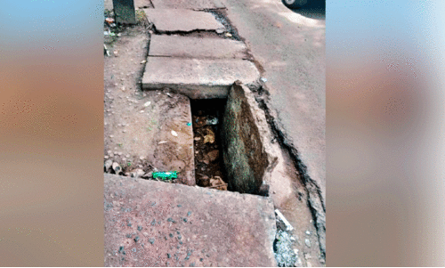 pedestrian Passengers