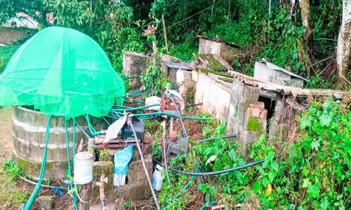 കിട്ടും ഇപ്പോൾ മുട്ടില്ലാതെ വെള്ളം കിട്ടും ഇപ്പോൾ മുട്ടില്ലാതെ വെള്ളം