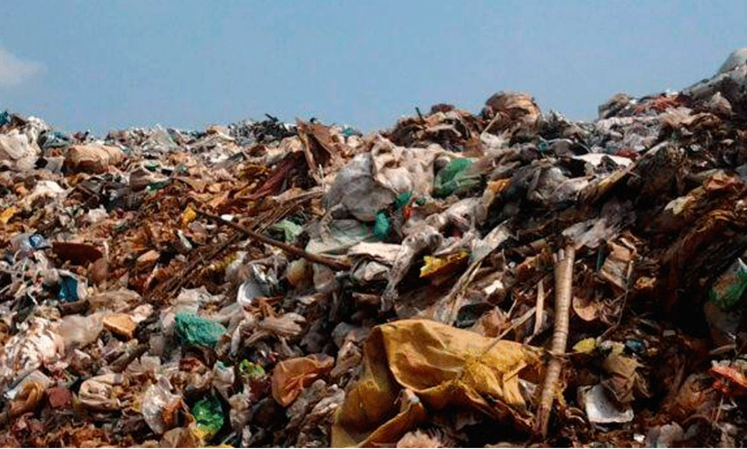 റയോണ്‍സ് വളപ്പില്‍ മാലിന്യസംസ്‌കരണ പ്ലാന്‍റ് സ്ഥാപിക്കാൻ നീക്കം: പ്രതിഷേധമുയരുന്നു