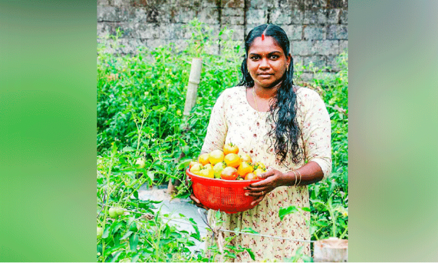 അധ്യാപക ജോലി ഉപേക്ഷിച്ച് കൃഷിയിലേക്ക് ഇറങ്ങി നേട്ടം കൊയ്തു; മികച്ച യുവ കർഷകയായി രേഷ്മ