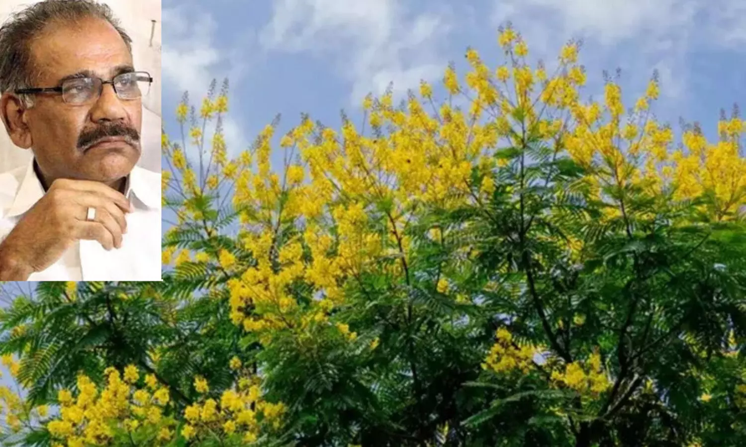 2.89 ലക്ഷം ഏക്കർ വനഭൂമി 1950-നും 1980നും ഇടയിൽ വെട്ടിത്തെളിച്ചുവെന്ന് എ.കെ ശശീന്ദ്രൻ