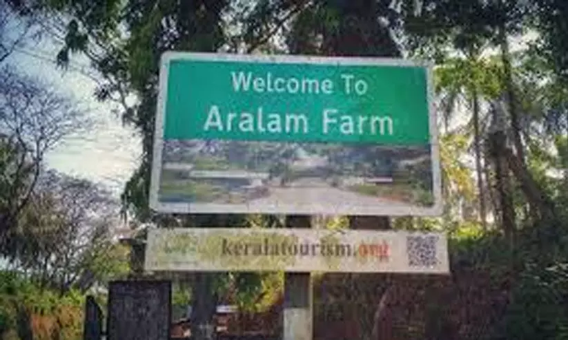 പച്ചക്കറി കൃഷി; ആദിവാസി ഗ്രൂപ്പിനുള്ള പുരസ്കാരം ഇക്കുറിയും ആറളം ഫാമിന് പച്ചക്കറി കൃഷി; ആദിവാസി ഗ്രൂപ്പിനുള്ള പുരസ്കാരം ഇക്കുറിയും ആറളം ഫാമിന്