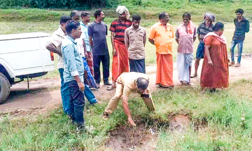 അയ്യപ്പൻകോവിലിൽ പുലിയെ കണ്ടതായി നാട്ടുകാരൻ; നായുടെ കാൽപാടുകളെന്ന് വനം വകുപ്പ്