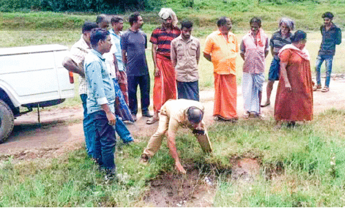 അയ്യപ്പൻകോവിലിൽ പുലിയെ കണ്ടതായി നാട്ടുകാരൻ; നായുടെ കാൽപാടുകളെന്ന് വനം വകുപ്പ്