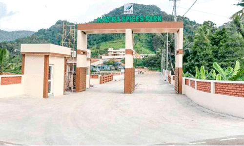 തുടങ്ങനാട് സ്പൈസസ് പാർക്ക് നിർമാണം അന്തിമ ഘട്ടത്തിൽ