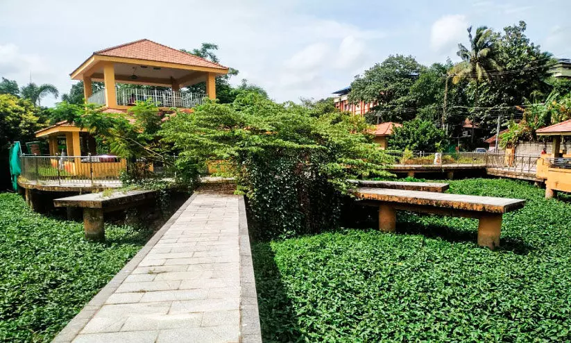 മറവിയിൽ നശിച്ച് കച്ചേരിക്കടവ് വാട്ടർഹബ് മറവിയിൽ നശിച്ച് കച്ചേരിക്കടവ് വാട്ടർഹബ്