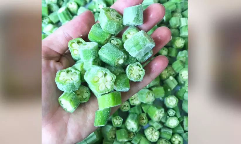 ശീതീകരിച്ച വെണ്ടക്കയിൽ പ്രശ്നമില്ലെന്ന് ഖത്തർ പൊതുജനാരോഗ്യ മന്ത്രാലയം ശീതീകരിച്ച വെണ്ടക്കയിൽ പ്രശ്നമില്ലെന്ന് ഖത്തർ പൊതുജനാരോഗ്യ മന്ത്രാലയം