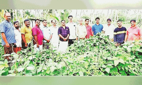 Mala Kolkunnu Haritasangam