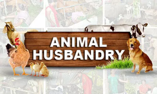 മൃഗസംരക്ഷണ വകുപ്പ് ജീവനക്കാരുടെ വിന്യാസം;  താലൂക്ക് അടിസ്ഥാനത്തിൽ പുനഃസംഘടിപ്പിക്കണം -കെ.എ.എച്ച്.ഡി.എസ്.എ