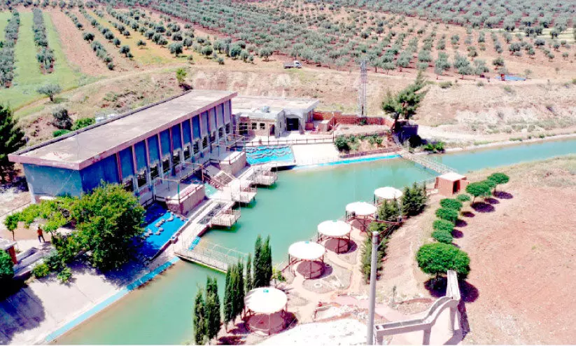 ഖത്തറിന്റെ കരുതലിൽ വെള്ളമെത്തി; സിറിയൻ പാടങ്ങൾ പച്ചയണിയുന്നു ഖത്തറിന്റെ കരുതലിൽ വെള്ളമെത്തി; സിറിയൻ പാടങ്ങൾ പച്ചയണിയുന്നു