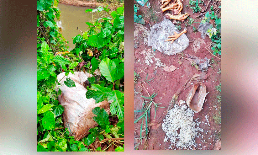 Waste disposal Waste disposal