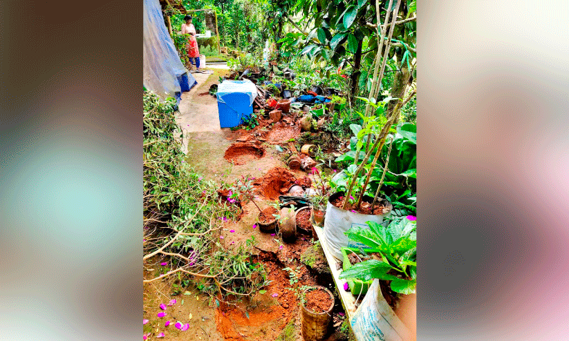 wild elephant attack wild elephant attack