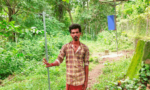 Solar security fence