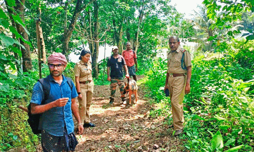 Dog squad inspection