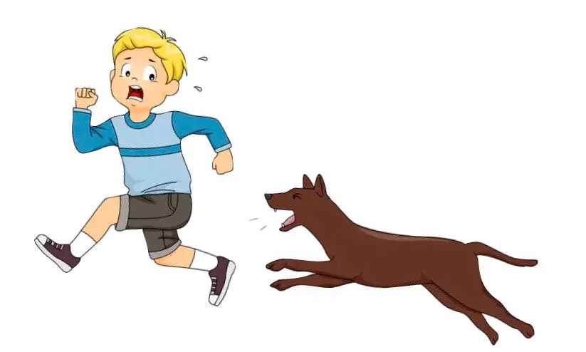 അഞ്ച് വർഷത്തിനിടെ നായുടെ കടിയേറ്റത്; 11 ലക്ഷത്തിലധികം പേർക്ക് അഞ്ച് വർഷത്തിനിടെ നായുടെ കടിയേറ്റത്; 11 ലക്ഷത്തിലധികം പേർക്ക്