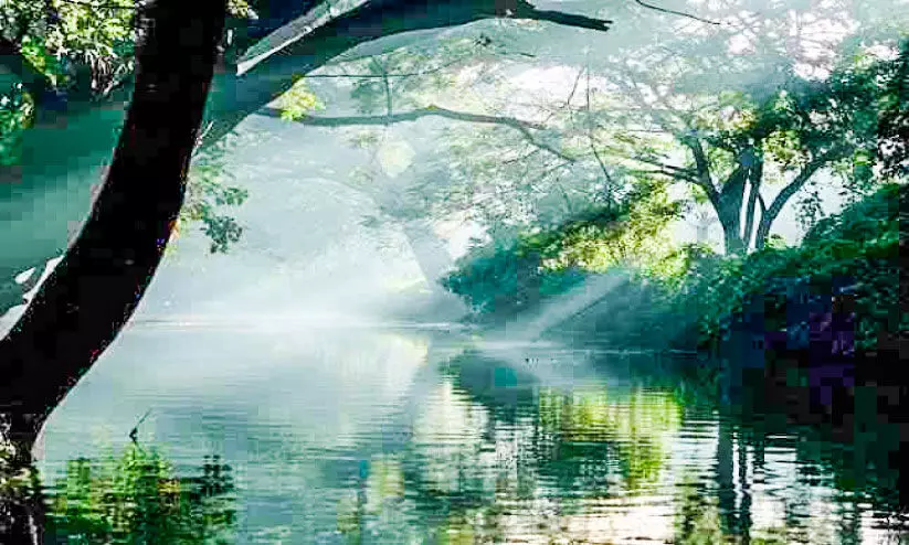 ഒരു ദേശത്തിന്റെ തലവര മാറ്റിയ ‘കുത്തിയതോട്’ ഒരു ദേശത്തിന്റെ തലവര മാറ്റിയ ‘കുത്തിയതോട്’