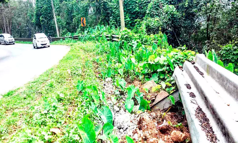ദേശീയപാതയിലെ ക്രാഷ് ബാരിയറുകൾ തകർന്നു മുണ്ടക്കയം