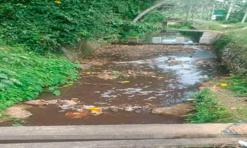 Pariyarams stream Pariyarams stream