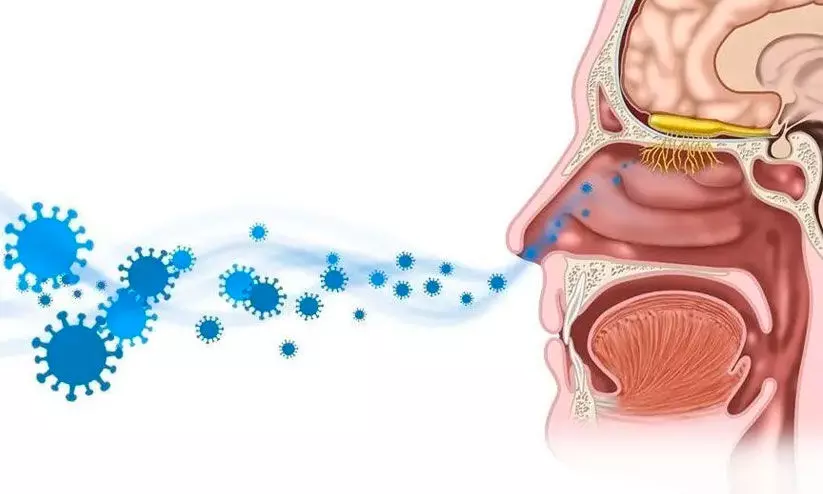 കോവിഡ്: രണ്ടുവർഷത്തെ കാത്തിരിപ്പ്, യുവാക്കൾക്ക് മണമറിയാനുള്ള ശേഷി തിരിച്ചുകിട്ടി