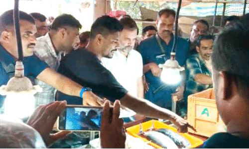 Panamaram fish market