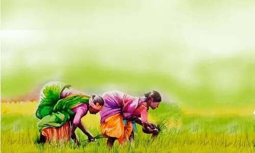 മാ​നം തെ​ളി​ഞ്ഞു ക​ർ​ഷ​ക​മ​നം ഇ​രു​ട്ടി​ൽ