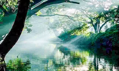 ഒരു ദേശത്തിന്‍റെ തലവര മാറ്റിയ ‘കുത്തിയതോട്’