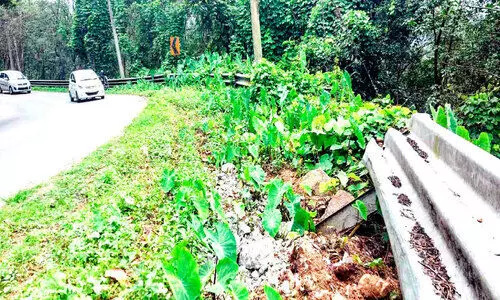 ദേശീയപാതയിലെ ക്രാഷ് ബാരിയറുകൾ തകർന്നു മുണ്ടക്കയം