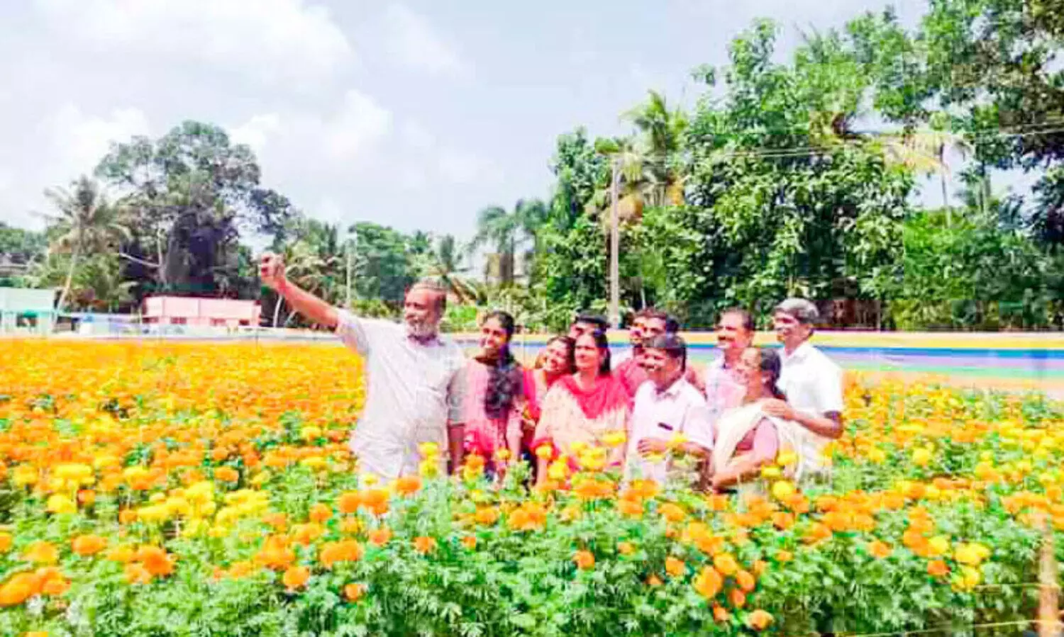 ഇവിടെ ചെണ്ടുമല്ലി തോട്ടം പരന്നുകിടക്കുന്നു; ഓണം കളറാക്കാന്‍