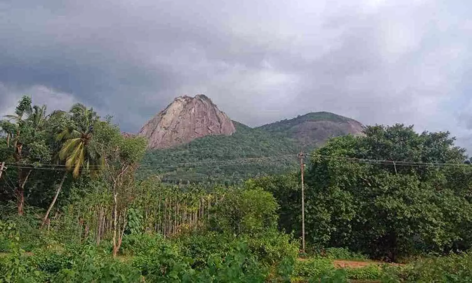 ഗ്രീൻഫീൽഡ് പാത: സ്ഥല കൈമാറ്റം രണ്ട് മാസത്തിനകം പൂർത്തിയാക്കും