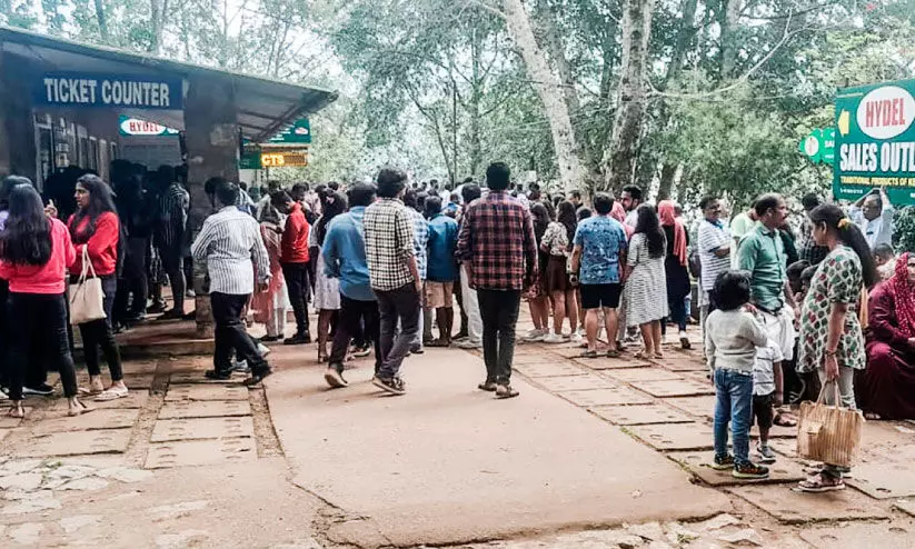 ഇടുക്കി കാണാൻ തിരക്ക്; മൂന്നാറിലേക്കും വാഗമണിലേക്കും സന്ദർശക പ്രവാഹം ഇടുക്കി കാണാൻ തിരക്ക്; മൂന്നാറിലേക്കും വാഗമണിലേക്കും സന്ദർശക പ്രവാഹം