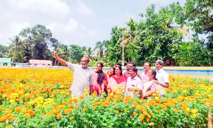 ഇവിടെ ചെണ്ടുമല്ലി തോട്ടം പരന്നുകിടക്കുന്നു; ഓണം കളറാക്കാന്‍